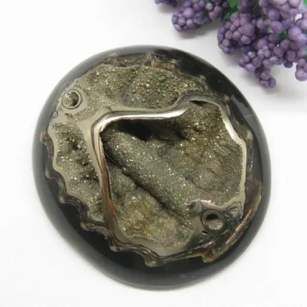 Amonit z pirytem 43x38x12mm