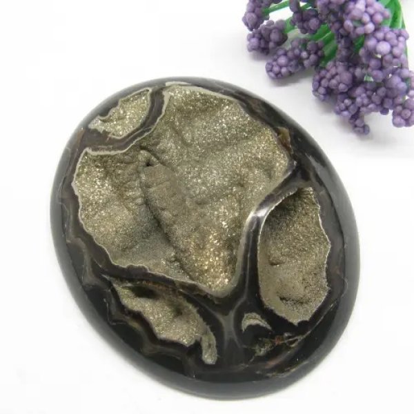 Amonit z pirytem 59x49x12mm