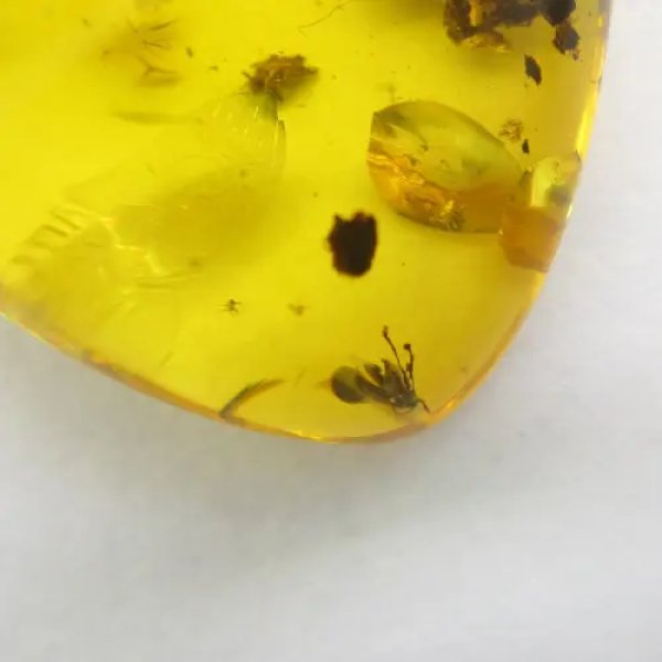 Owad w bursztynie i srebro - zawieszka łza