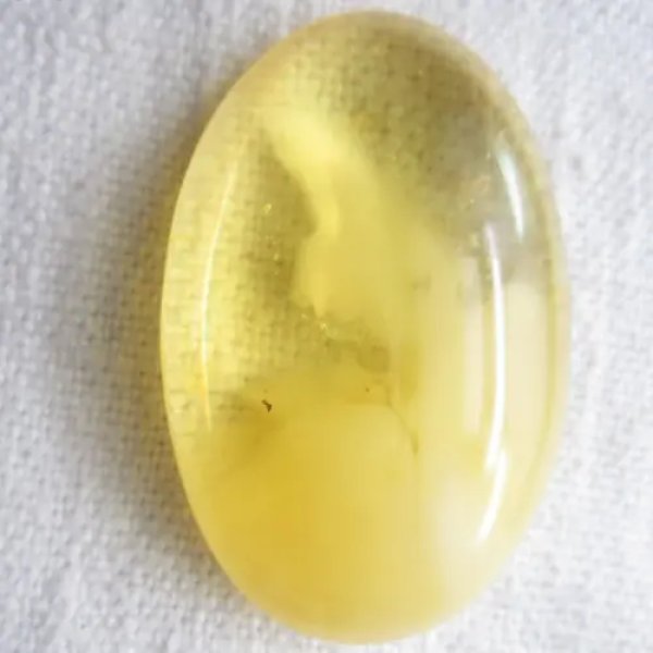 Bursztyn 46x29x12 mm owal