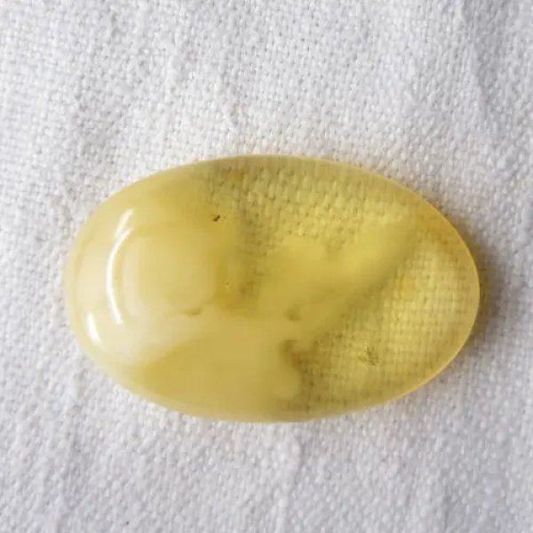 Bursztyn 46x29x12 mm owal