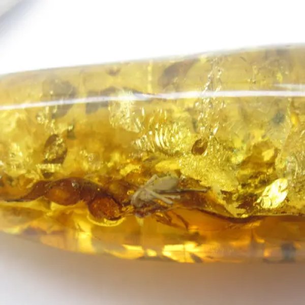 Bursztyn z inkluzją i owadem i srebro - zawieszka