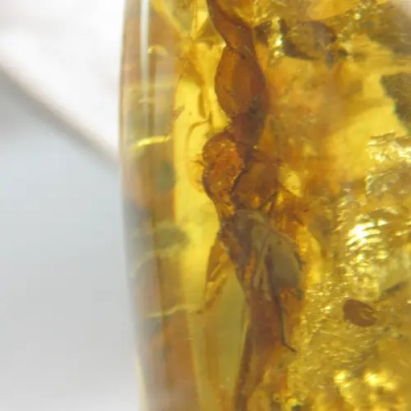 Bursztyn z inkluzją i owadem i srebro - zawieszka