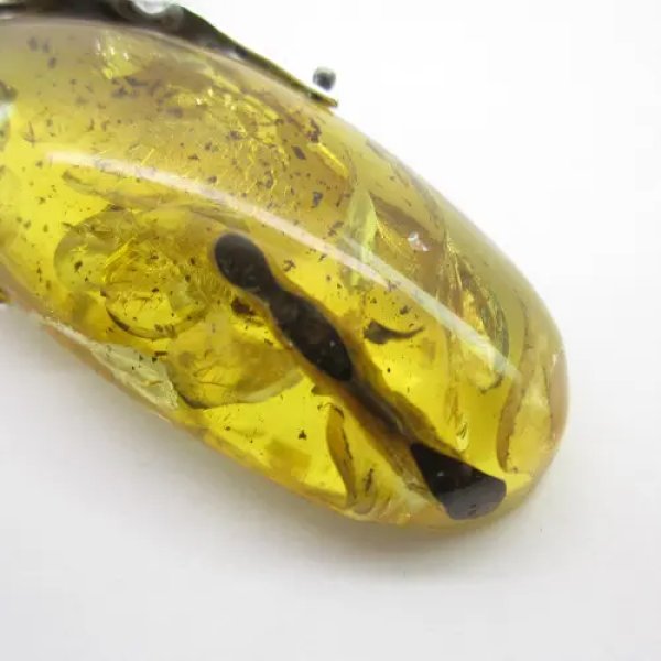 Bursztyn z inkluzją roślinną (łodyga) i srebro oksydowane - zawieszka