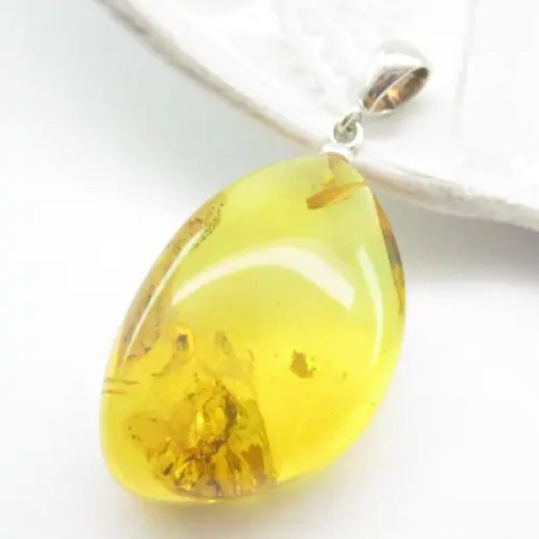 Owad w bursztynie i srebro - wisiorek