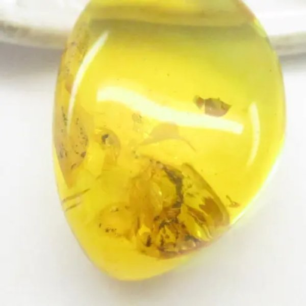 Owad w bursztynie i srebro - wisiorek