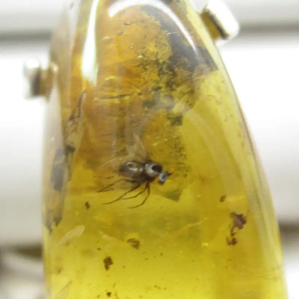 Bursztyn przezroczysty z inkluzjami i srebro - pierścionek z owadami, roślinami i pęcherzykami powietrza