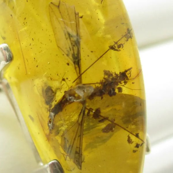 Bursztyn przezroczysty z inkluzjami i srebro - pierścionek z owadami, roślinami i pęcherzykami powietrza