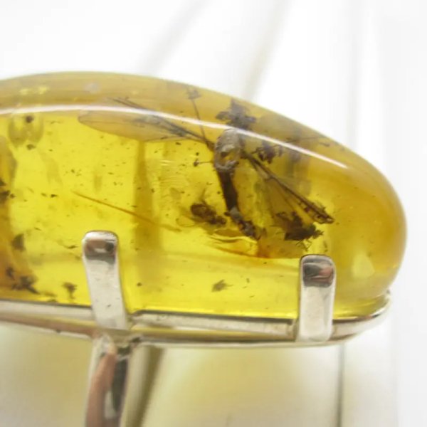 Bursztyn przezroczysty z inkluzjami i srebro - pierścionek z owadami, roślinami i pęcherzykami powietrza