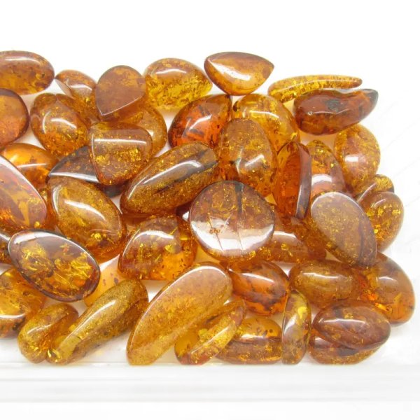 Koniakowy Bursztyn z łuskami