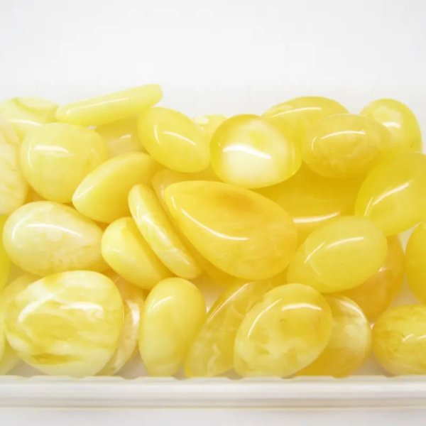 Koniakowy Bursztyn z łuskami