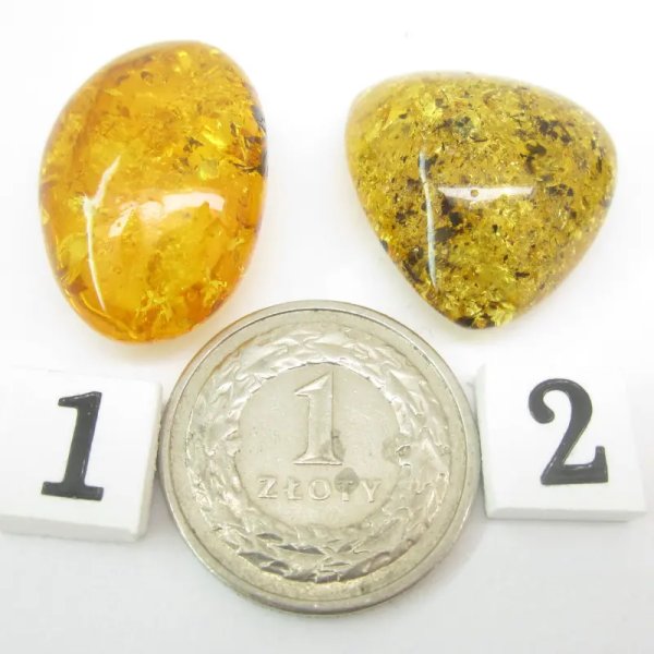 Koniakowy i zielony Bursztyn z łuskami