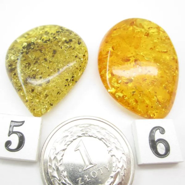 Koniakowy i zielony Bursztyn z łuskami