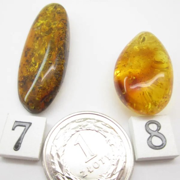 Koniakowy i zielony Bursztyn z łuskami