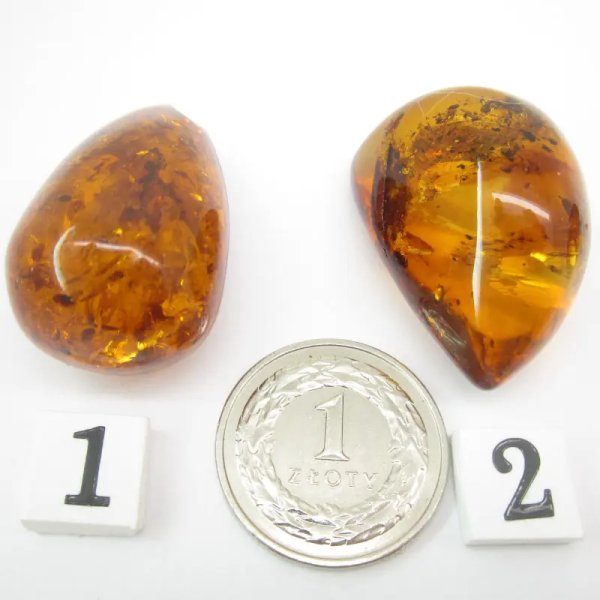 Koniakowy Bursztyn z łuskami