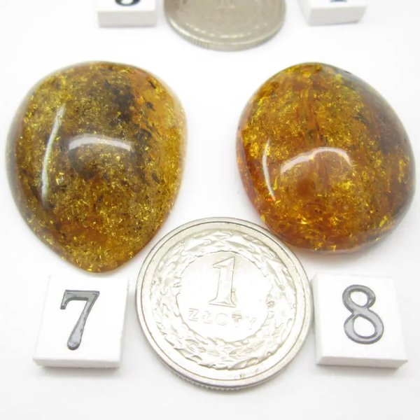 Koniakowy Bursztyn z łuskami