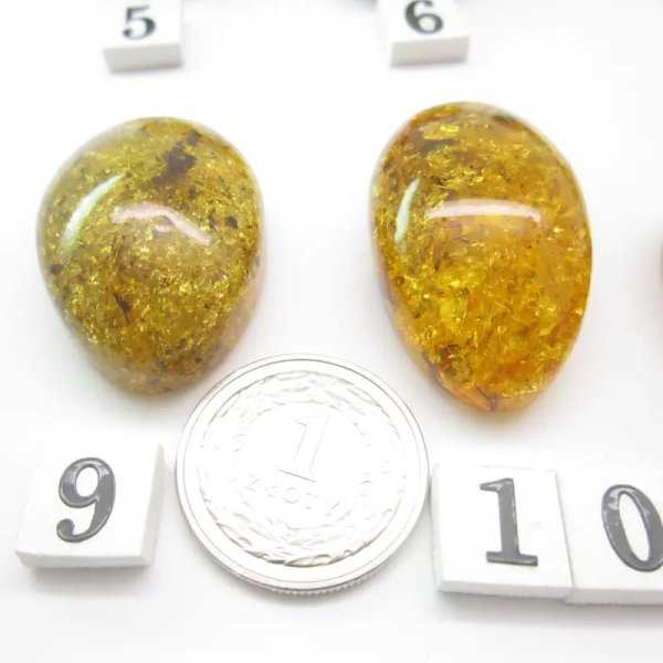 Koniakowy Bursztyn z łuskami