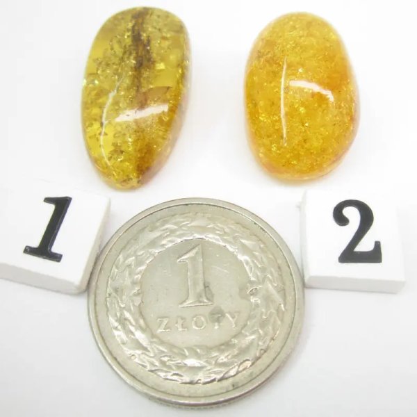 Koniakowy Bursztyn z łuskami