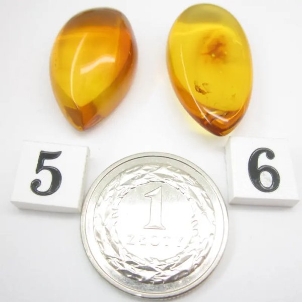 Koniakowy Bursztyn z łuskami