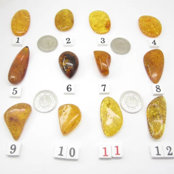 Koniakowy Bursztyn z łuskami