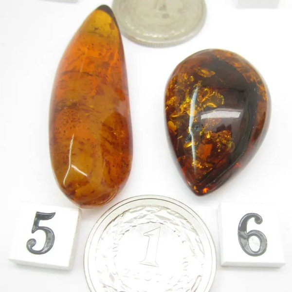 Koniakowy Bursztyn z łuskami