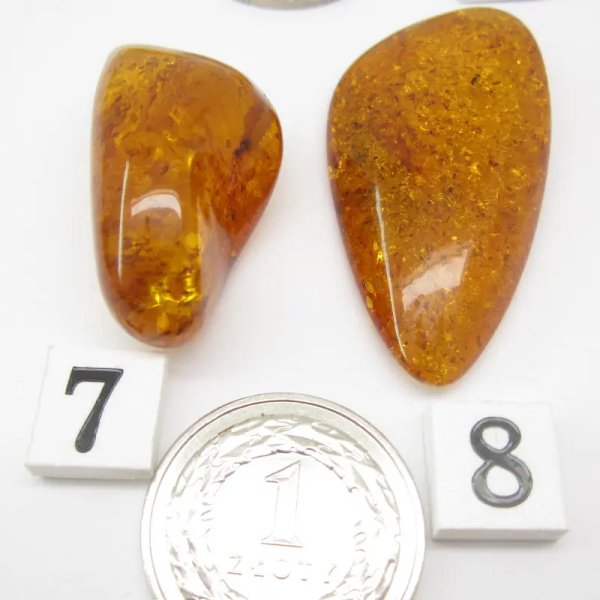 Koniakowy Bursztyn z łuskami