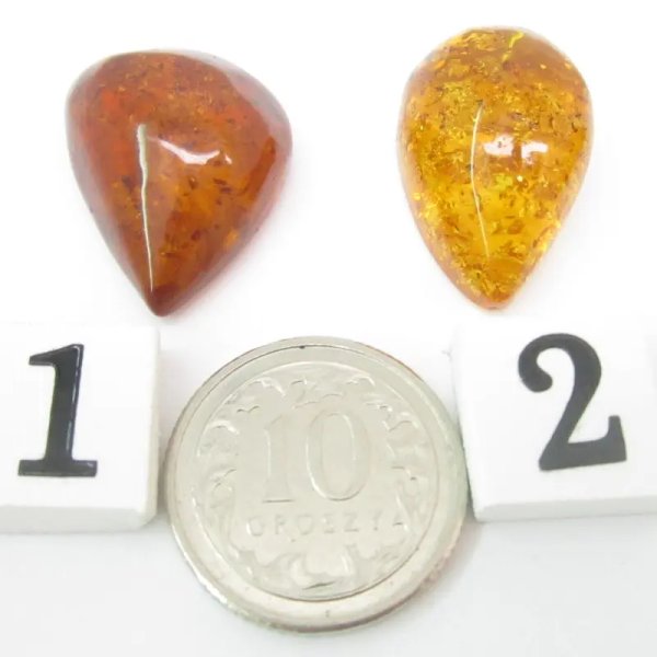 Koniakowy Bursztyn z łuskami