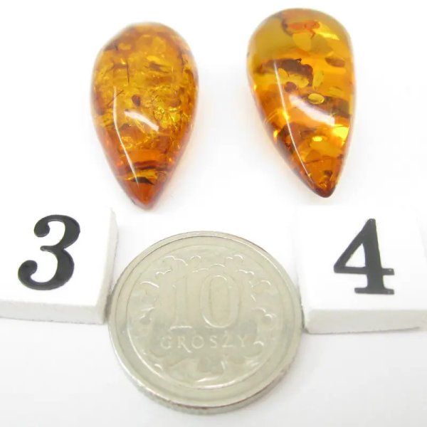 Koniakowy Bursztyn z łuskami