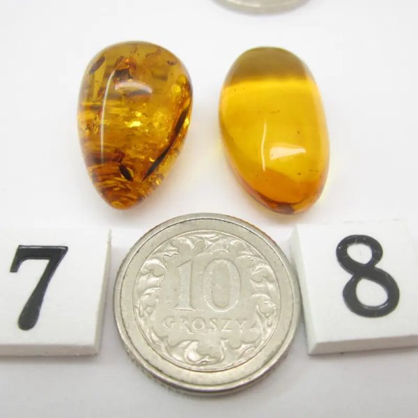 Koniakowy Bursztyn z łuskami