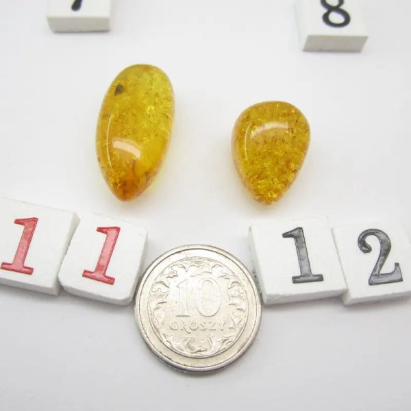 Koniakowy Bursztyn z łuskami