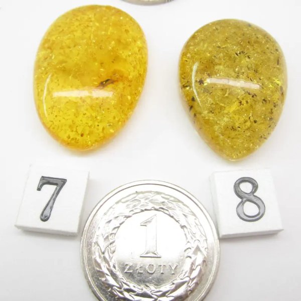 Koniakowy, cytrynowy i zielony Bursztyn z łuskami