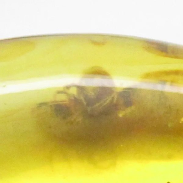 Bursztyn z inkluzją, pająkiem i srebro oksydowane - zawieszka