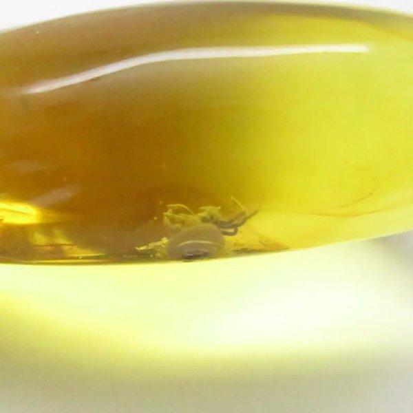 Bursztyn z inkluzją, pająkiem i srebro oksydowane - zawieszka