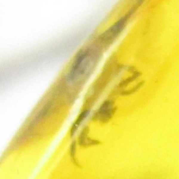 Bursztyn z inkluzją, pająkiem i srebro oksydowane - zawieszka