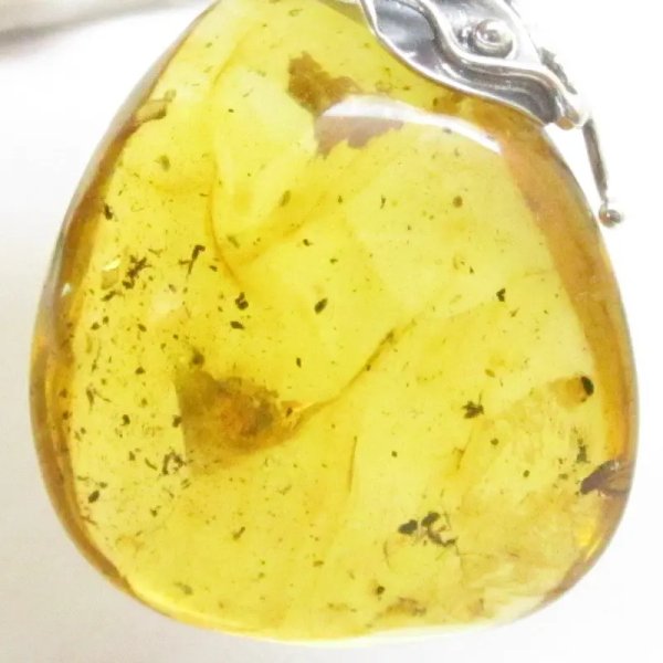 Bursztyn z inkluzjami (mrówka,mucha) , srebro oksydowane 