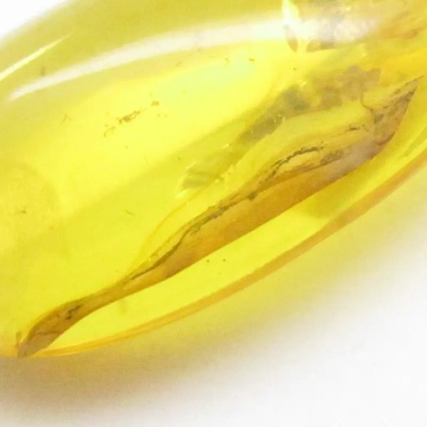 Bursztyn z inkluzją, pająkiem, muchą i srebro oksydowane - zawieszka