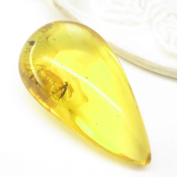 Bursztyn z komarem łza 41x23x13 mm