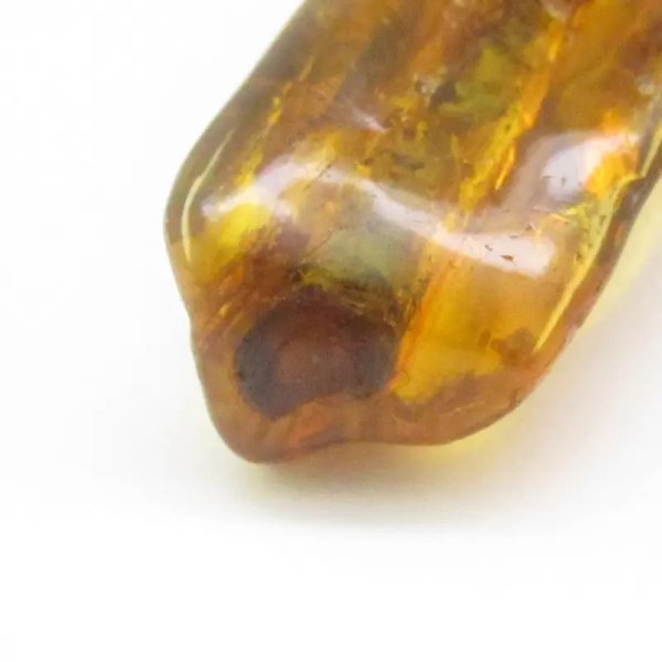 Łodyga trawy w bursztynie i srebro - zawieszka z rzemieniem