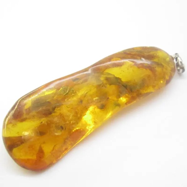 Owady, inkluzje roślinne w bursztynie i srebro - wisiorek z rzemieniem