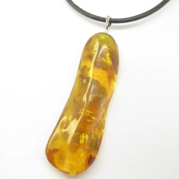 Owady, inkluzje roślinne w bursztynie i srebro - wisiorek z rzemieniem