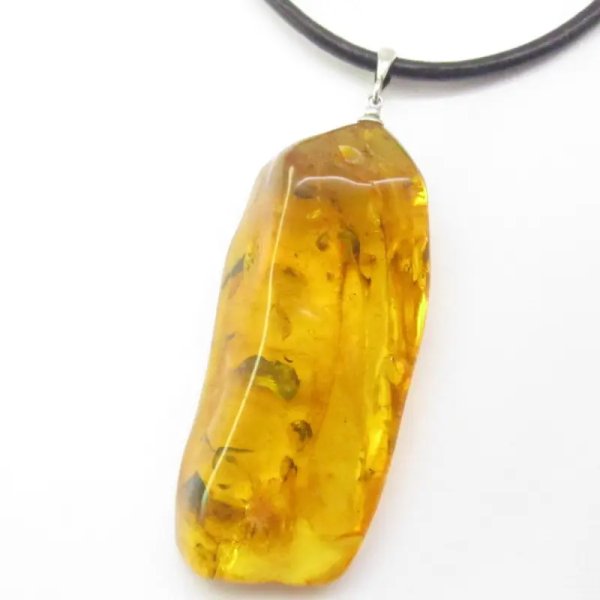 Owady, inkluzje roślinne w bursztynie i srebro - zawieszka z rzemieniem