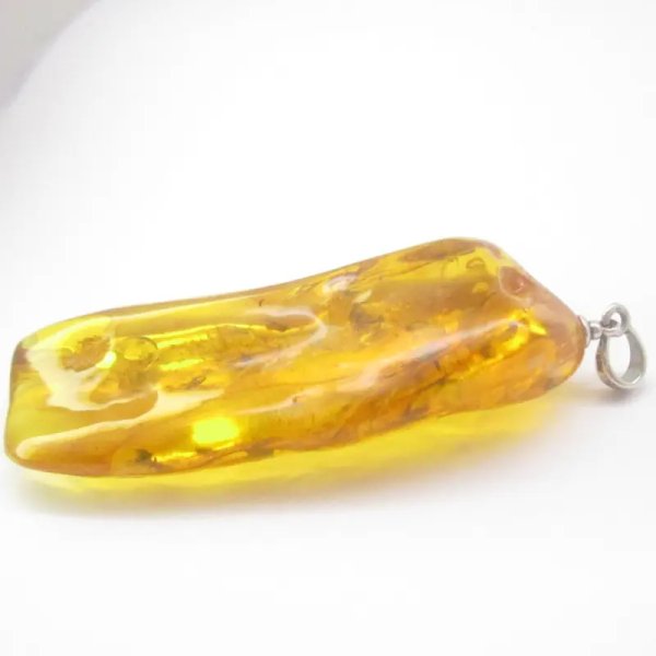 Owady, inkluzje roślinne w bursztynie i srebro - zawieszka z rzemieniem