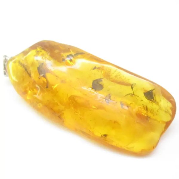 Owady, inkluzje roślinne w bursztynie i srebro - zawieszka z rzemieniem