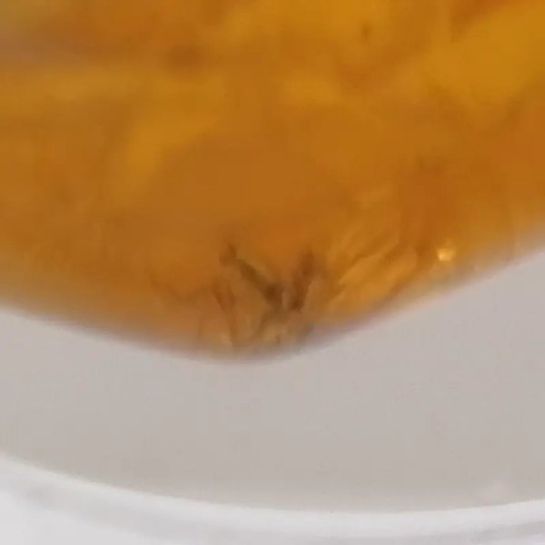 Owady, inkluzje roślinne w bursztynie i srebro - zawieszka z rzemieniem