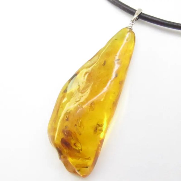 Owady, inkluzje roślinne w bursztynie i srebro - wisiorek z rzemieniem