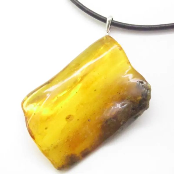 Owady, inkluzje roślinne w bursztynie i srebro - zawieszka z rzemieniem