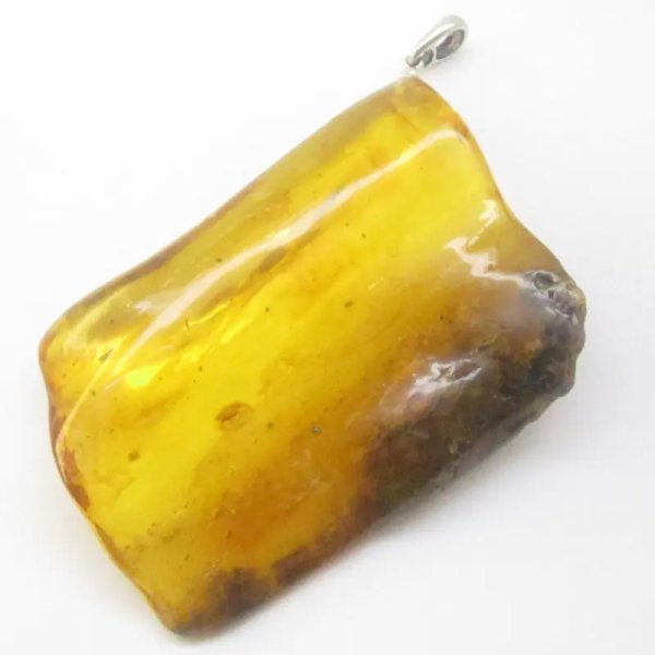 Owady, inkluzje roślinne w bursztynie i srebro - zawieszka z rzemieniem