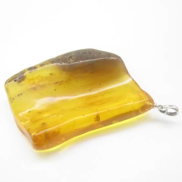 Owady, inkluzje roślinne w bursztynie i srebro - zawieszka z rzemieniem