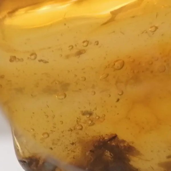 Owady, inkluzje roślinne w bursztynie i srebro - zawieszka z rzemieniem