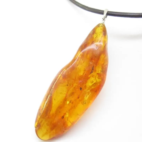Pająk, inkluzje roślinne w bursztynie i srebro - wisiorek z rzemieniem